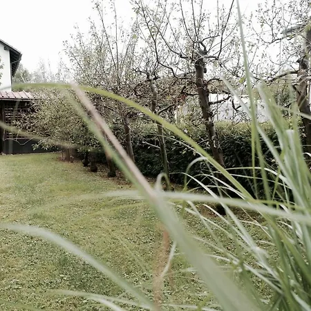 Vintage House Nyaraló